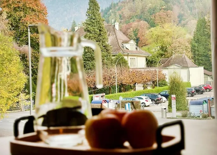 Apartment Modern With Balcony And Bbq At West Station Interlaken